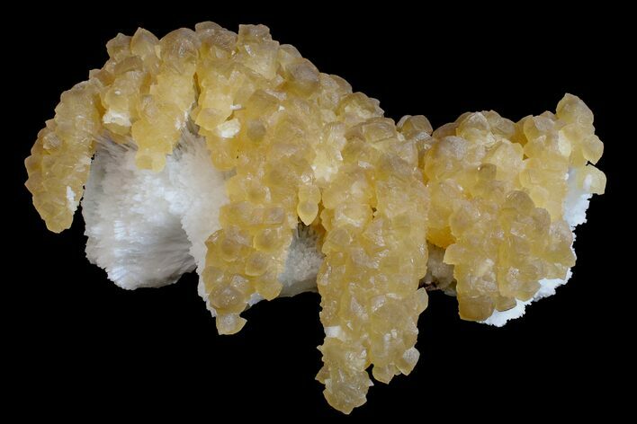Yellow Calcite On Scolecite (Zeolite) Sprays - Maharashtra, India #168717